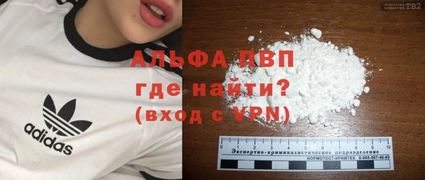 дживик Арсеньев