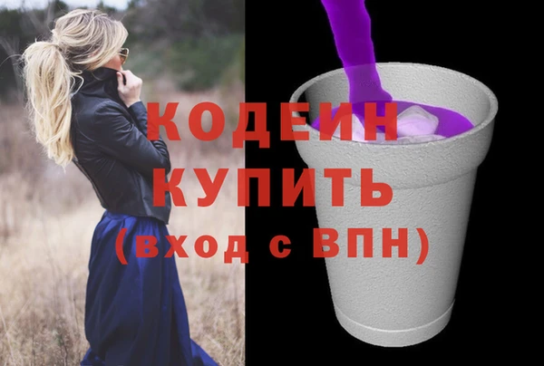 дживик Арсеньев