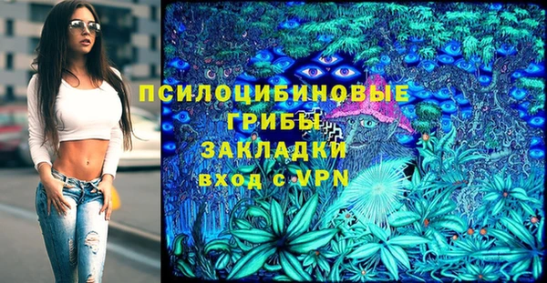 дживик Арсеньев