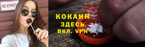 дживик Арсеньев