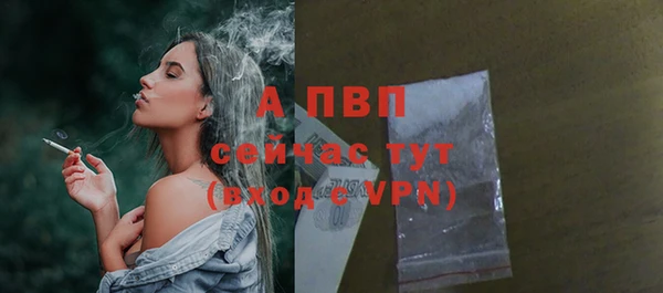 дживик Арсеньев