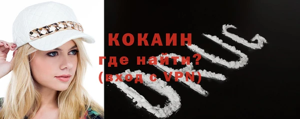дживик Арсеньев