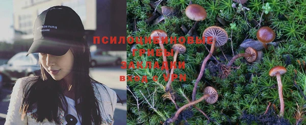 прущая мука Аркадак