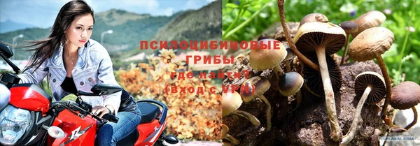 дживик Арсеньев