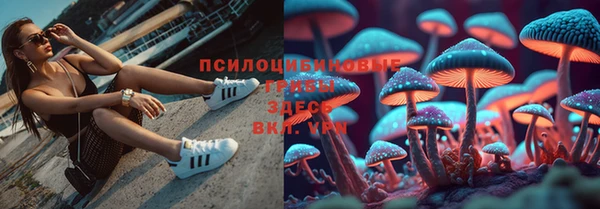 прущая мука Аркадак
